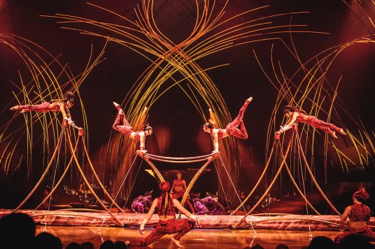 cirque-du-soleil_amaluna-2015_barres