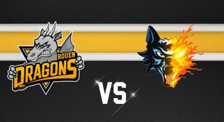 hockey_finale_coupe_france_2017_grenoble-rouen_logos